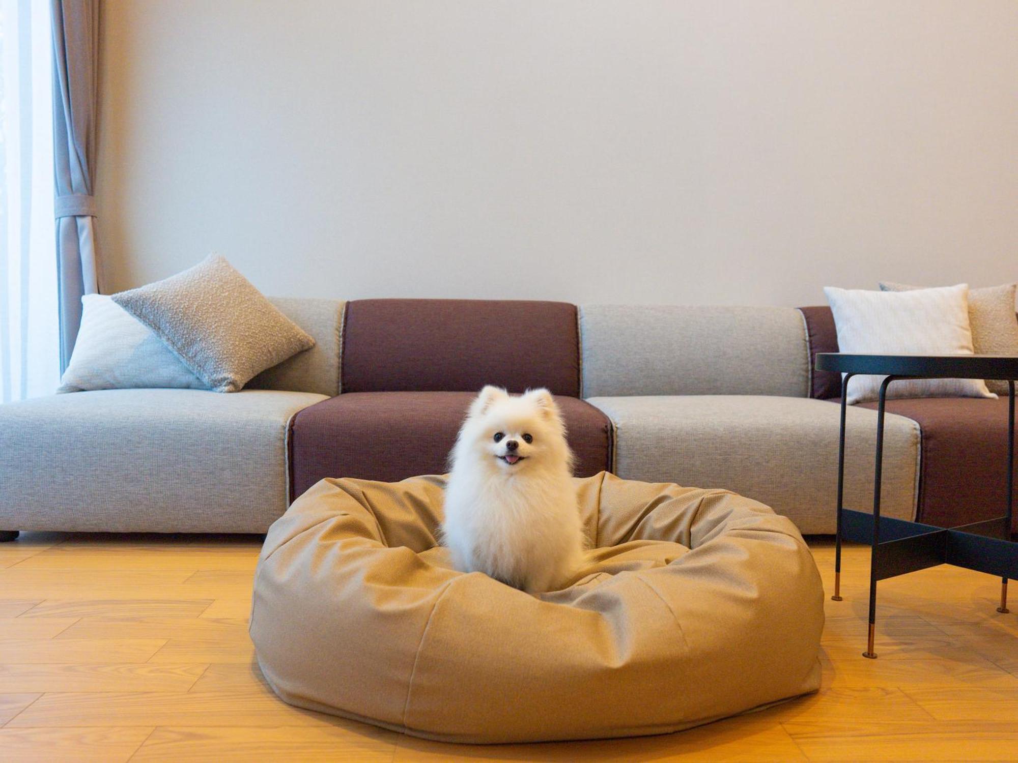 Rakuten Stay Villa Yatsugatake Hokuto  Esterno foto