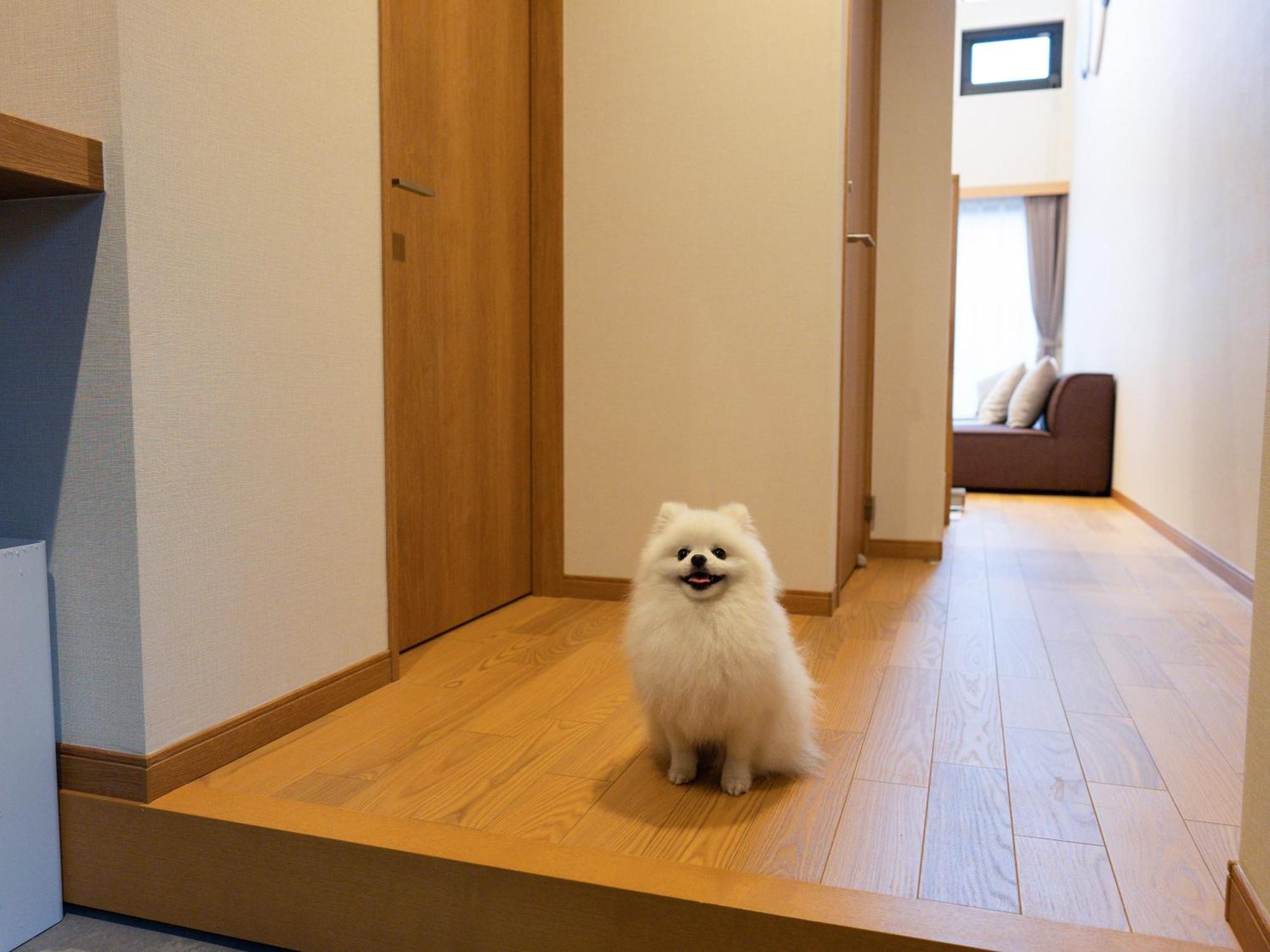 Rakuten Stay Villa Yatsugatake Hokuto  Esterno foto