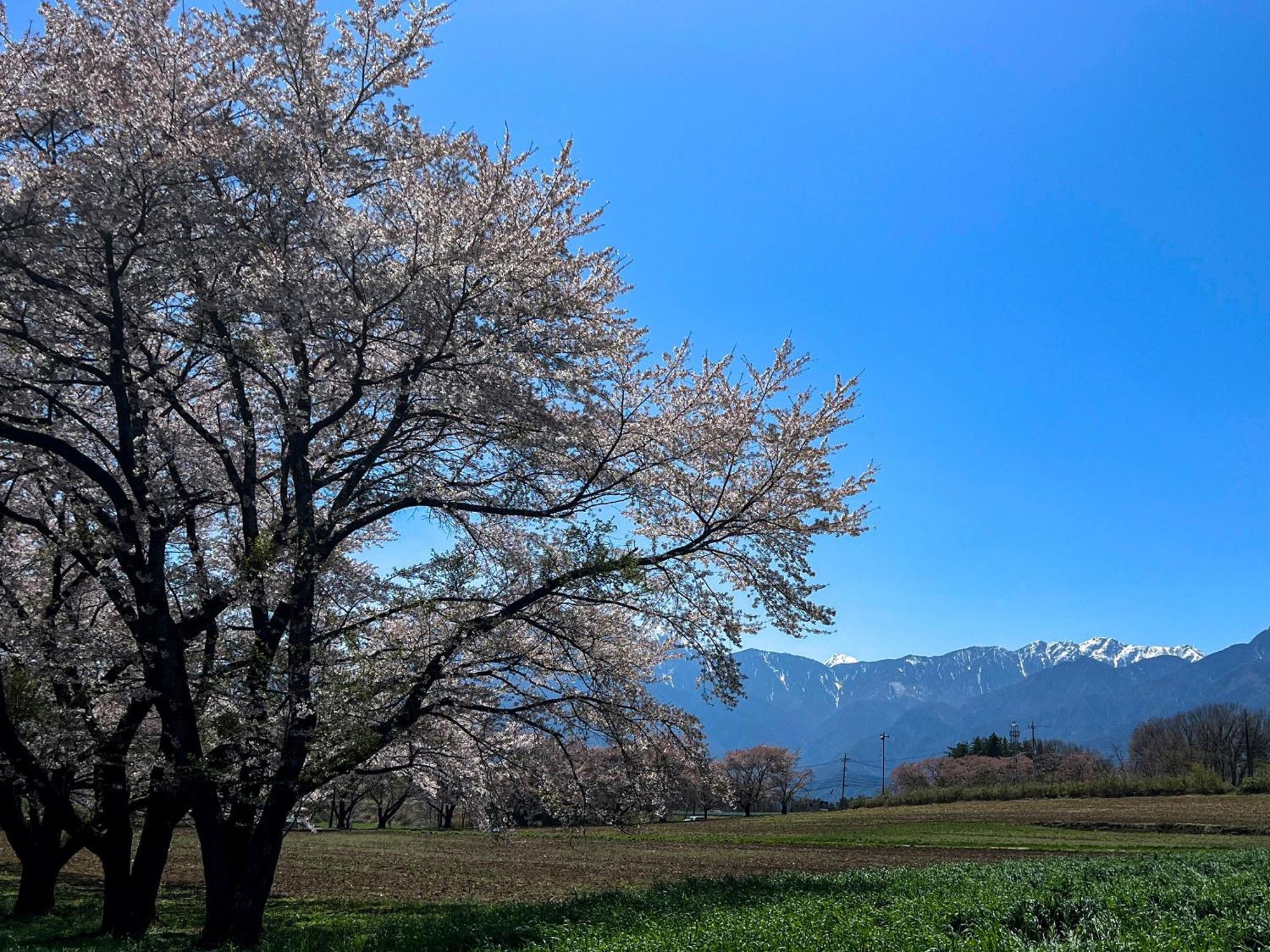 Rakuten Stay Villa Yatsugatake Hokuto  Esterno foto