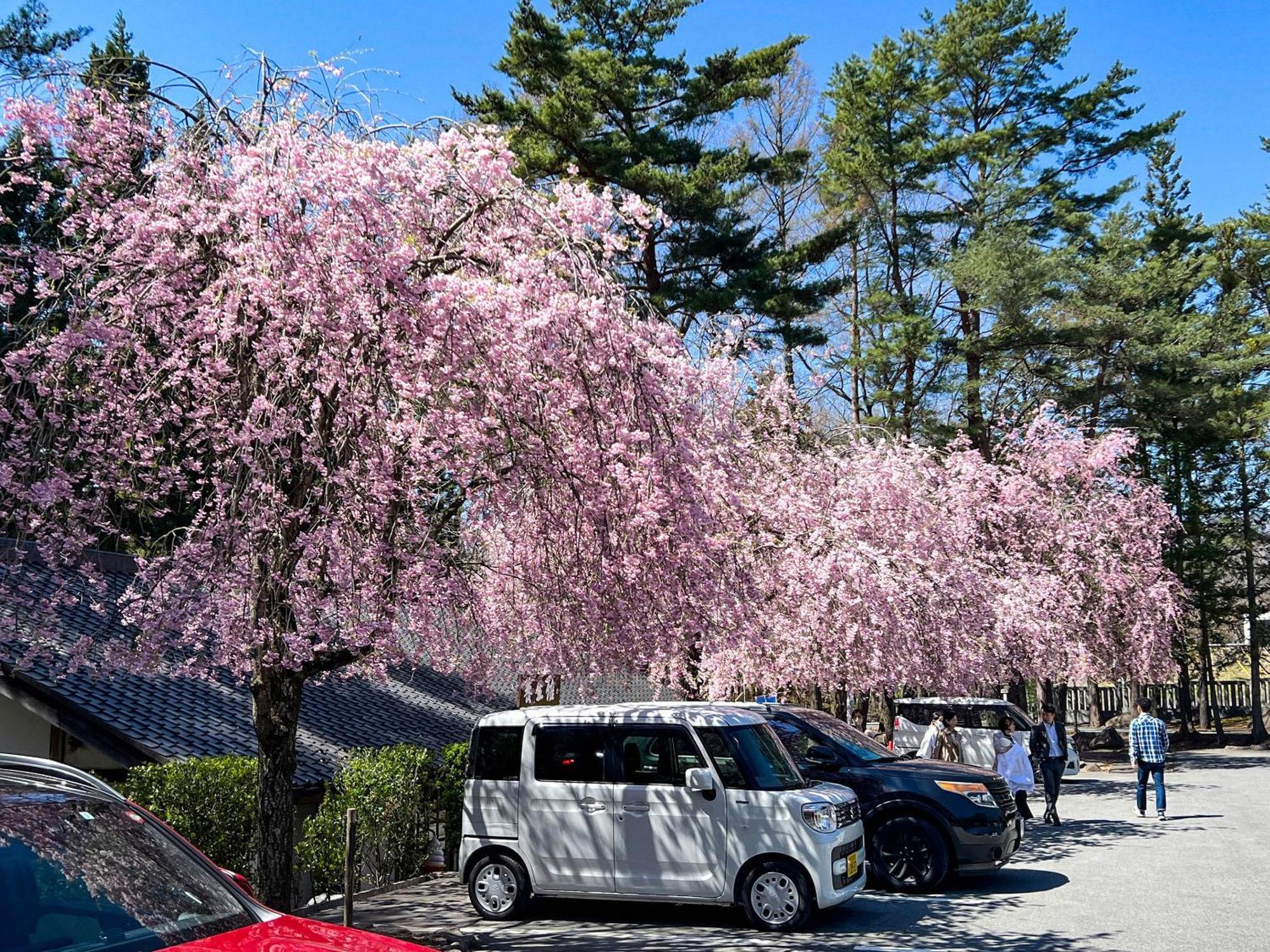 Rakuten Stay Villa Yatsugatake Hokuto  Esterno foto