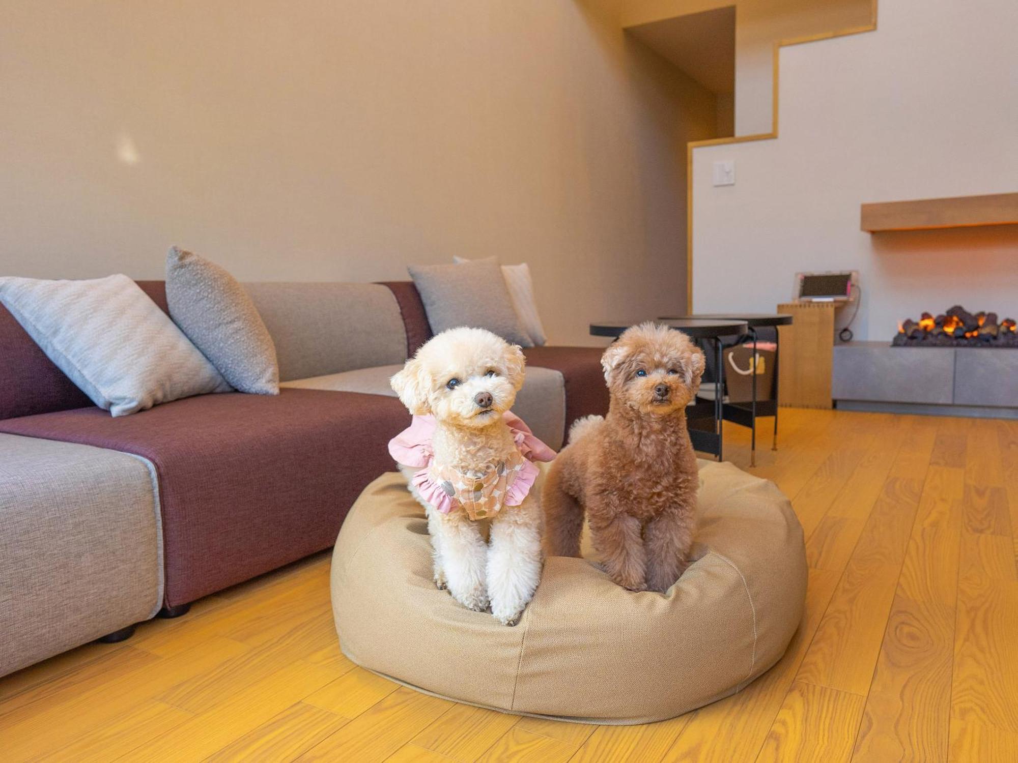 Rakuten Stay Villa Yatsugatake Hokuto  Esterno foto
